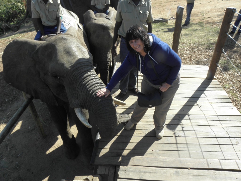A 'thank you' handful of pellets and a farewell pat to this elephant, whose name means 'friend.'